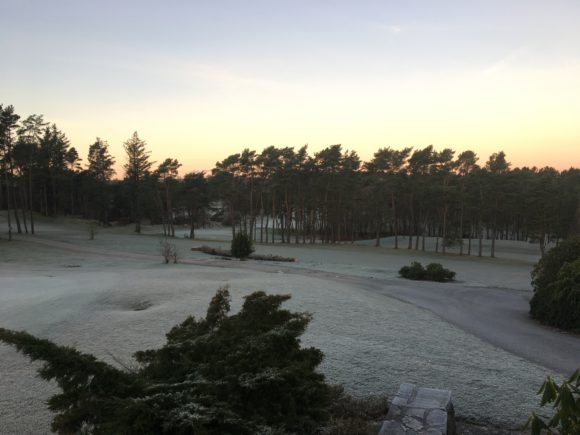 2016-11-28-09-09-23-1